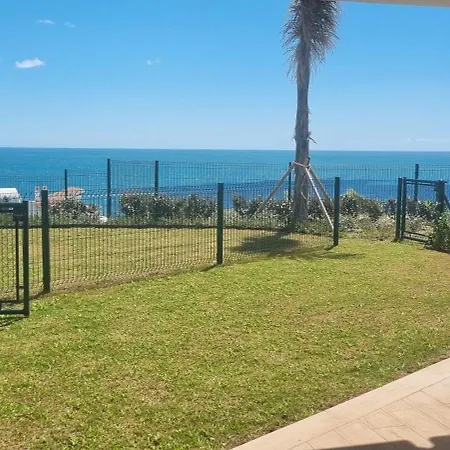 Jacaranda Mar